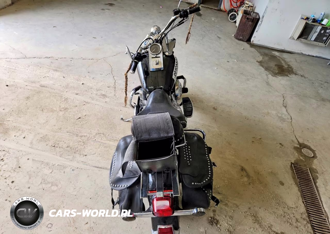 2005 Harley-Davidson Flstci Anniversary VIN:1HD1BWB135Y047053 - 6