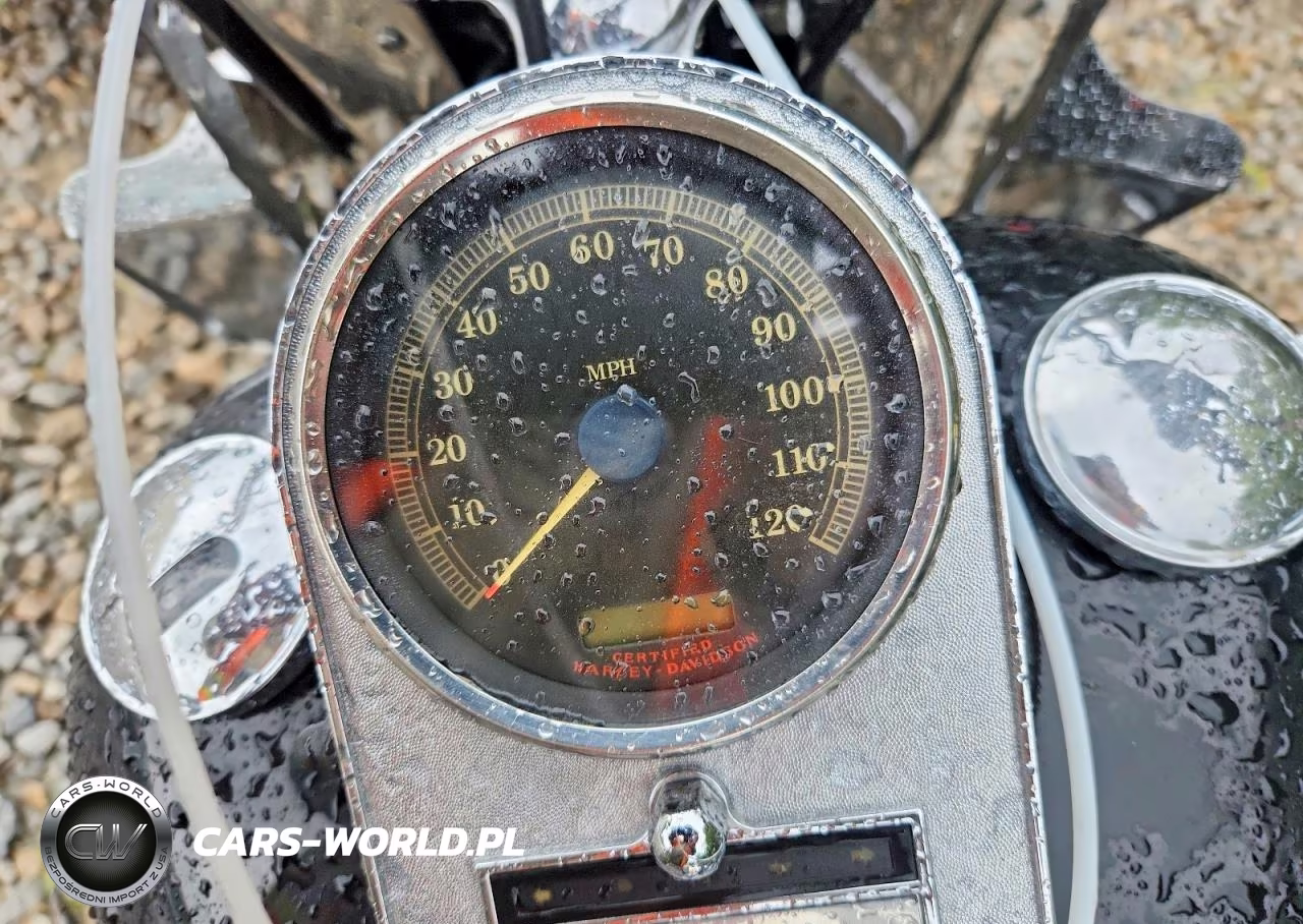 2005 Harley-Davidson Flstci Anniversary VIN:1HD1BWB135Y047053 - 7