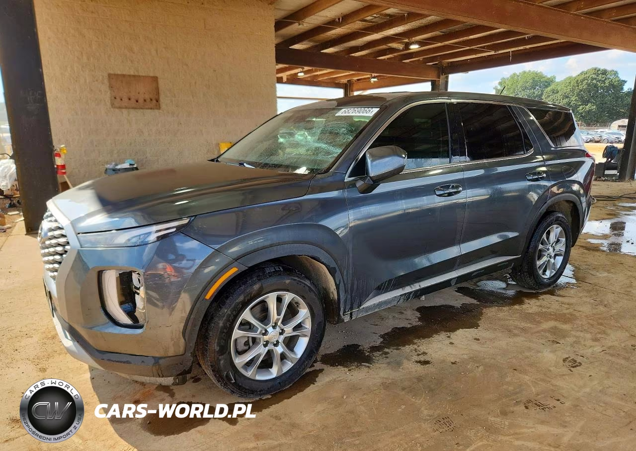 2021 Hyundai Palisade Se VIN:KM8R1DHE6MU274163 - 1