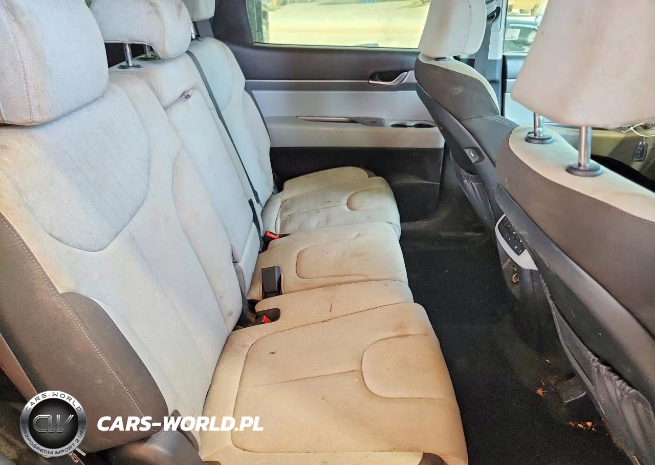 2021 Hyundai Palisade Se VIN:KM8R1DHE6MU274163 - 11