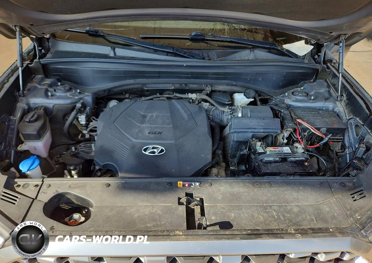2021 Hyundai Palisade Se VIN:KM8R1DHE6MU274163 - 12