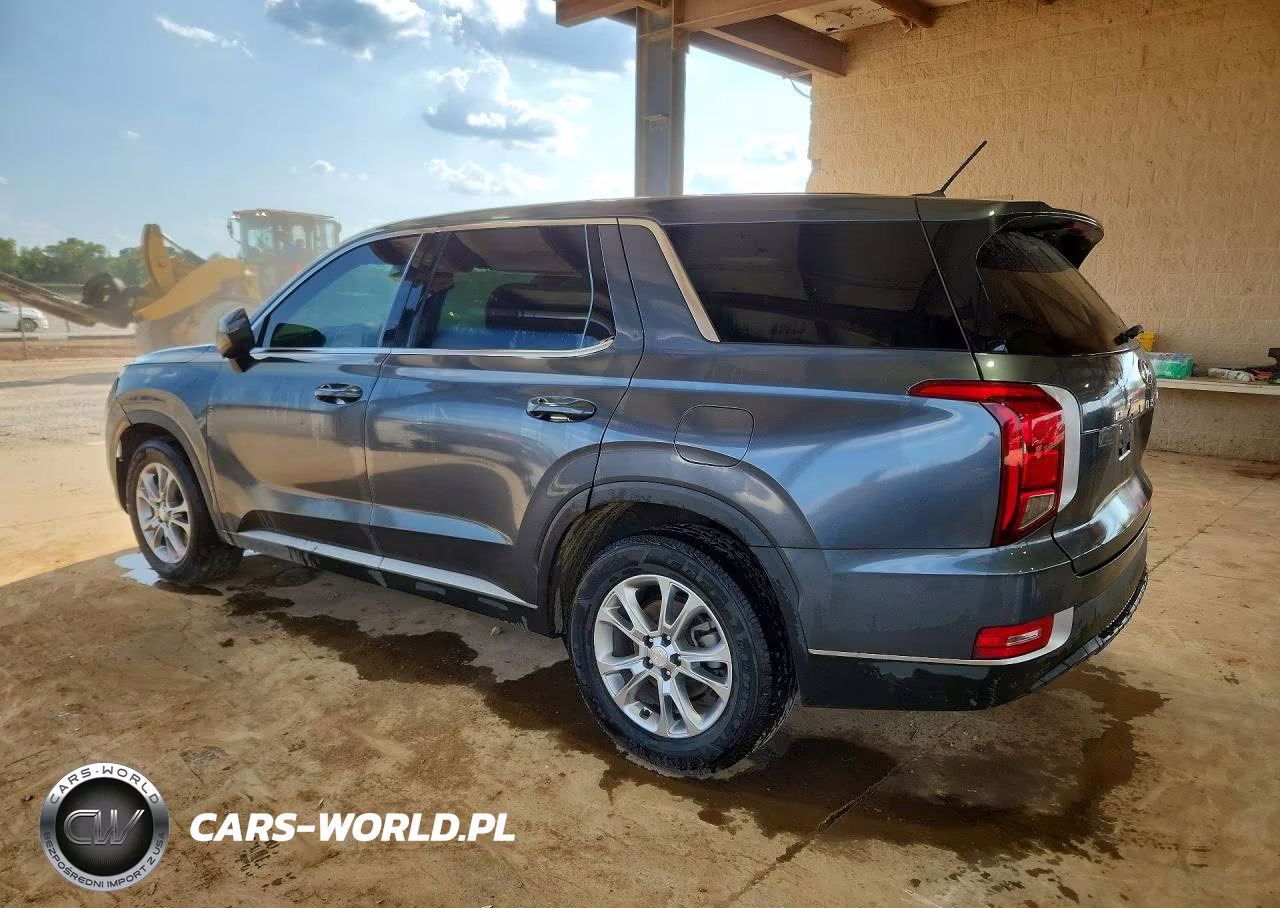 2021 Hyundai Palisade Se VIN:KM8R1DHE6MU274163 - 2