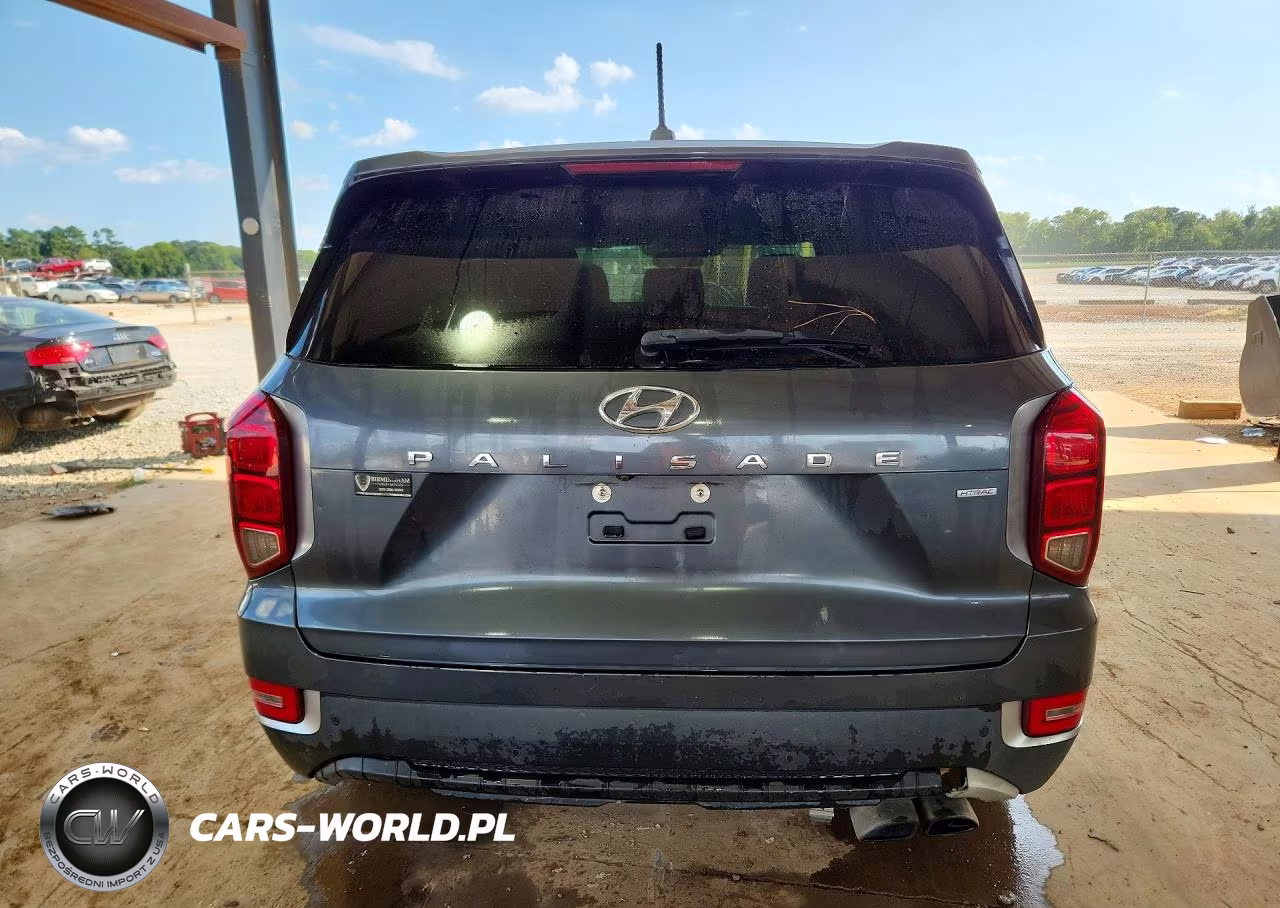2021 Hyundai Palisade Se VIN:KM8R1DHE6MU274163 - 6