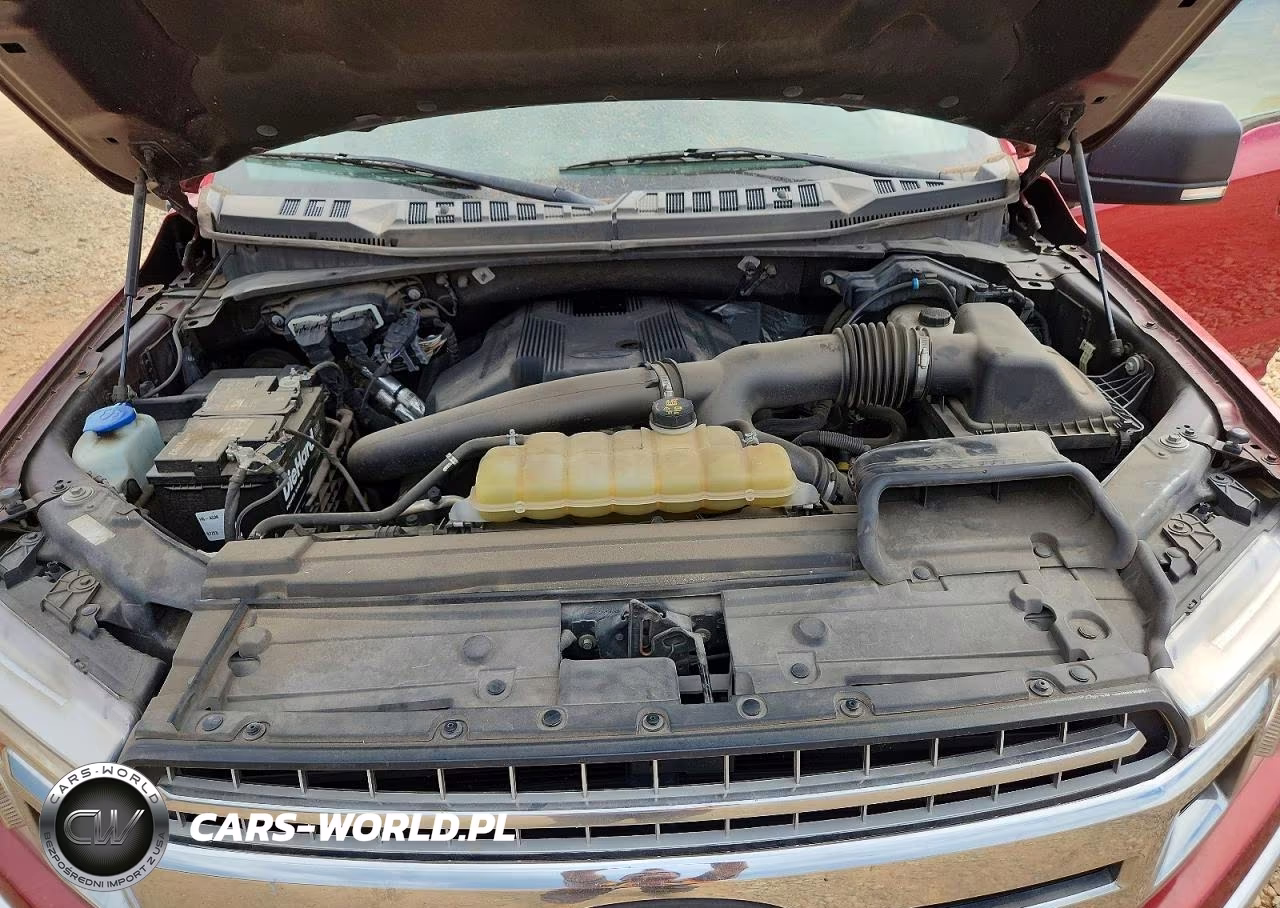 2019 Ford F150 Supercrew VIN:1FTEW1E44KFD49779 - 11