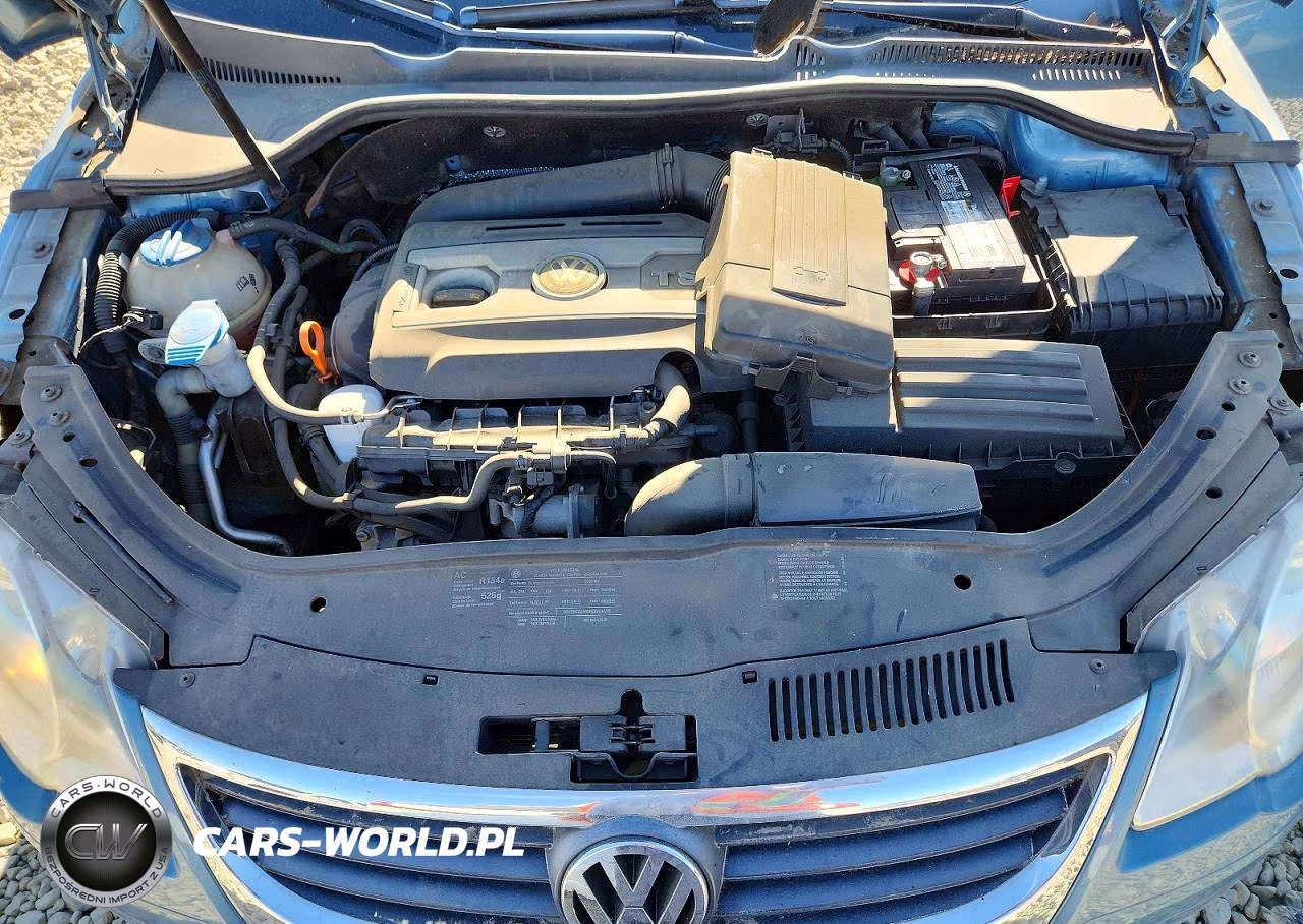 2009 Volkswagen Eos Turbo VIN:WVWBA71F39V020390 - 11