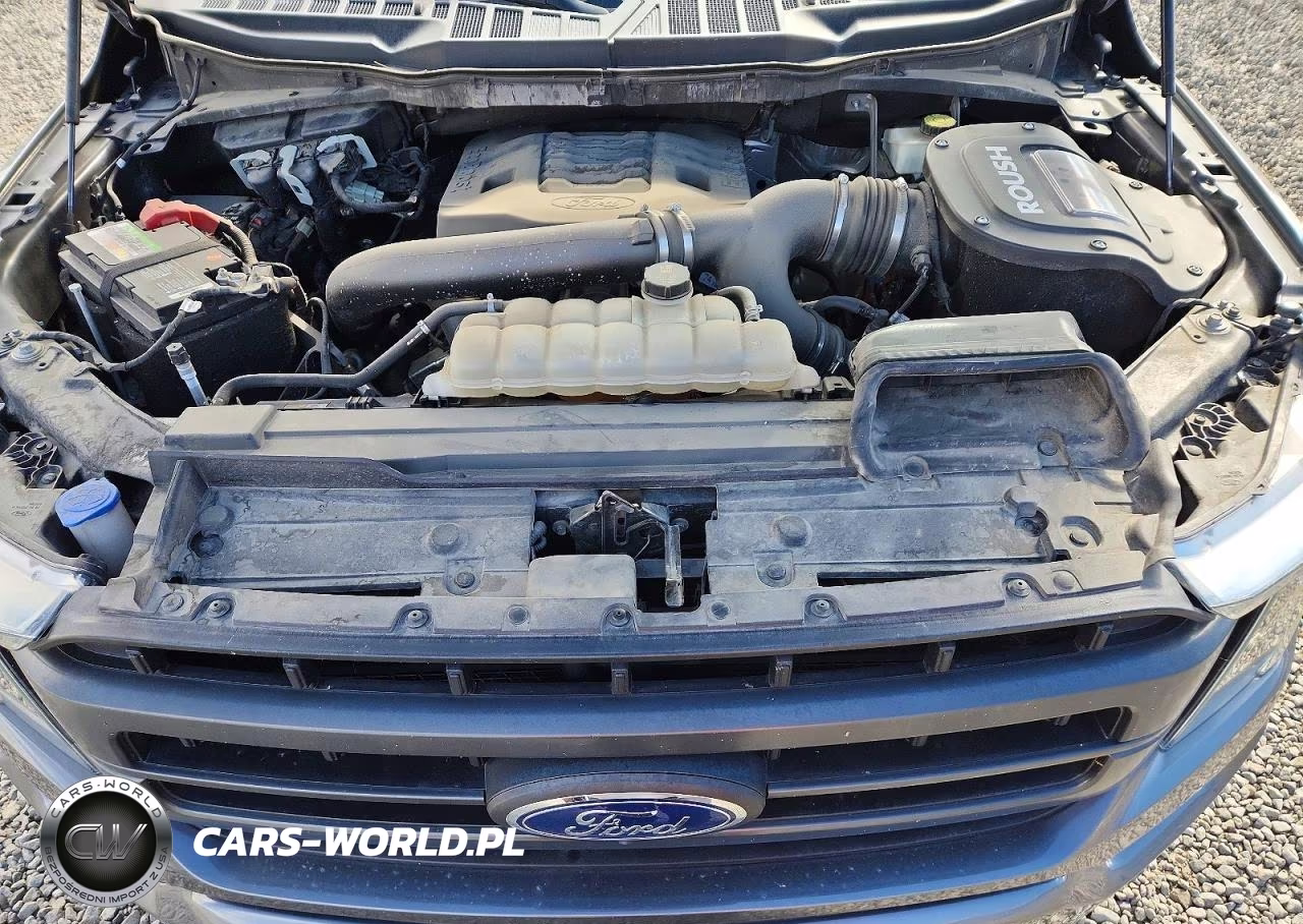 2021 Ford F150 Supercrew VIN:1FTFW1E82MKD17818 - 11