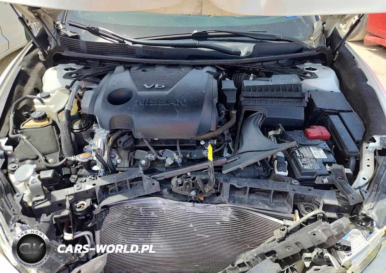 2019 Nissan Maxima Platinum VIN:1N4AA6AV7KC380184 - 11