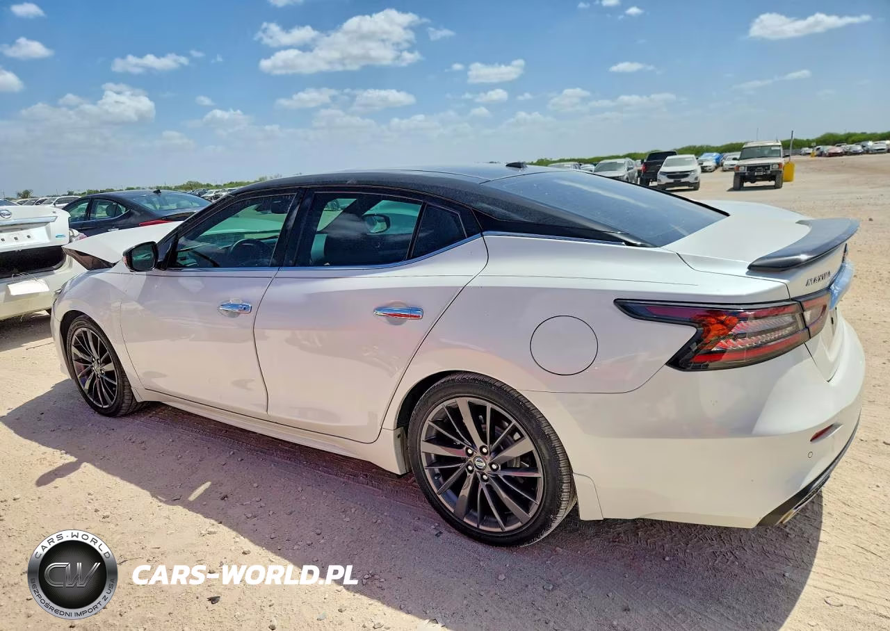 2019 Nissan Maxima Platinum VIN:1N4AA6AV7KC380184 - 2