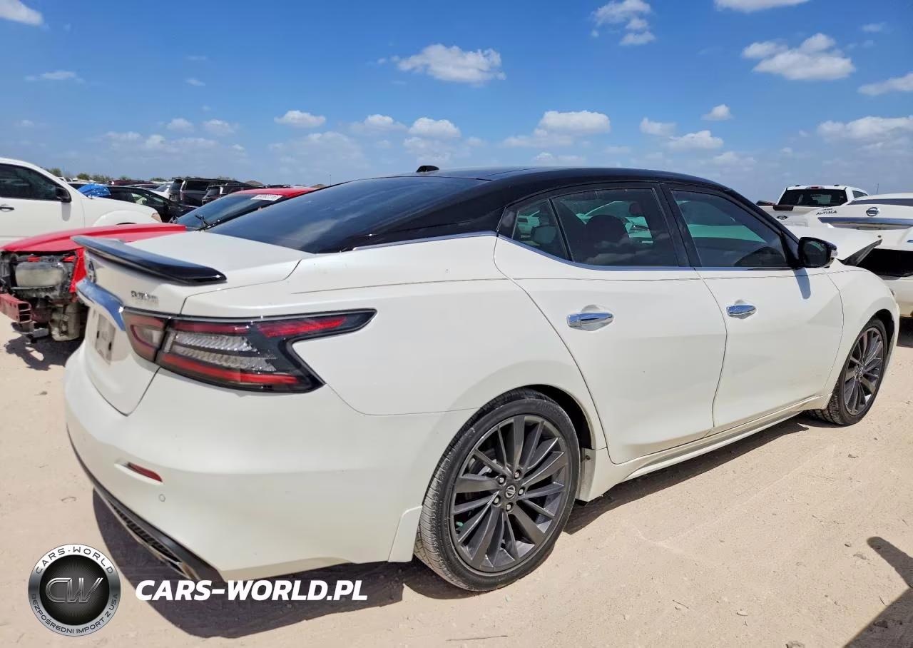 2019 Nissan Maxima Platinum VIN:1N4AA6AV7KC380184 - 3