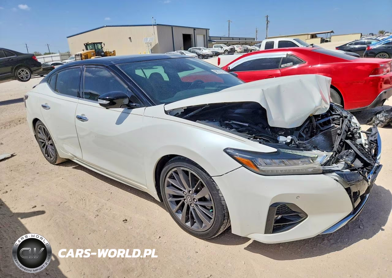 2019 Nissan Maxima Platinum VIN:1N4AA6AV7KC380184 - 4