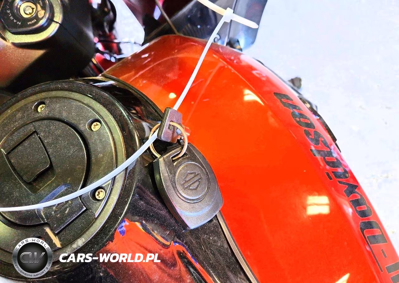 2024 Harley-Davidson Fltrx VIN:1HD1KH718RB609882 - 8