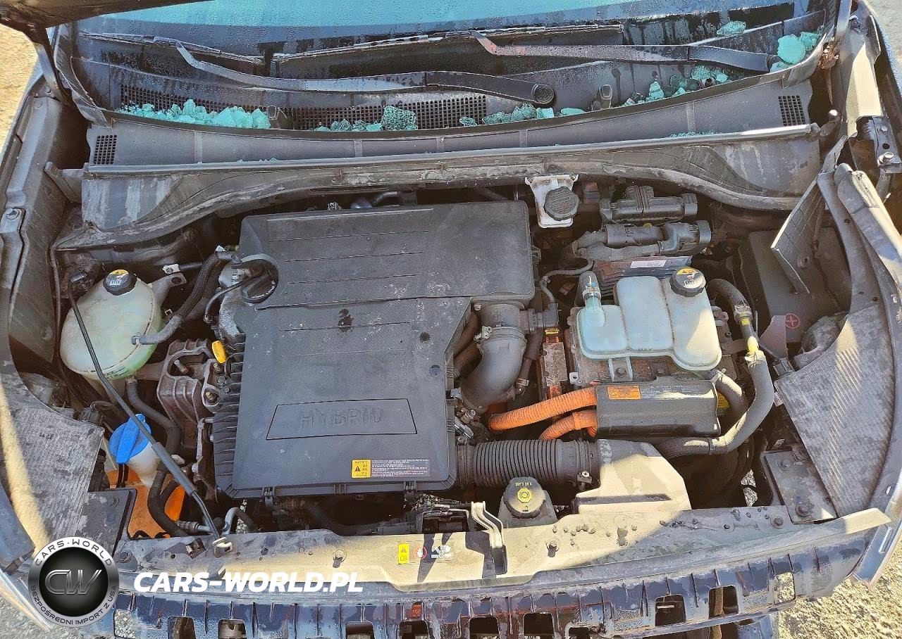 2017 Kia Niro Fe VIN:KNDCB3LC7H5050844 - 11