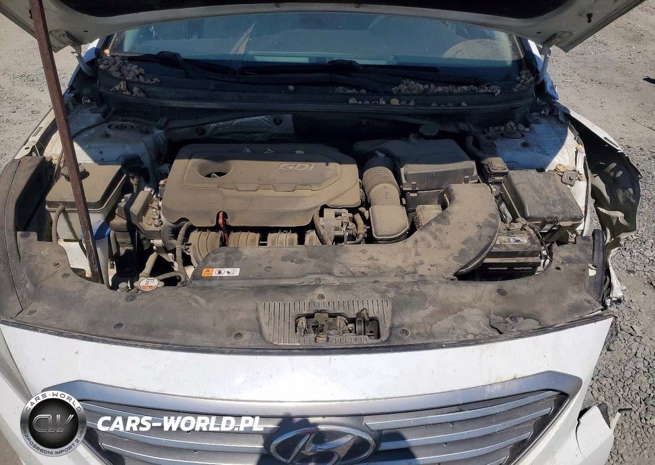 2015 Hyundai Sonata Se VIN:5NPE24AF5FH221180 - 11