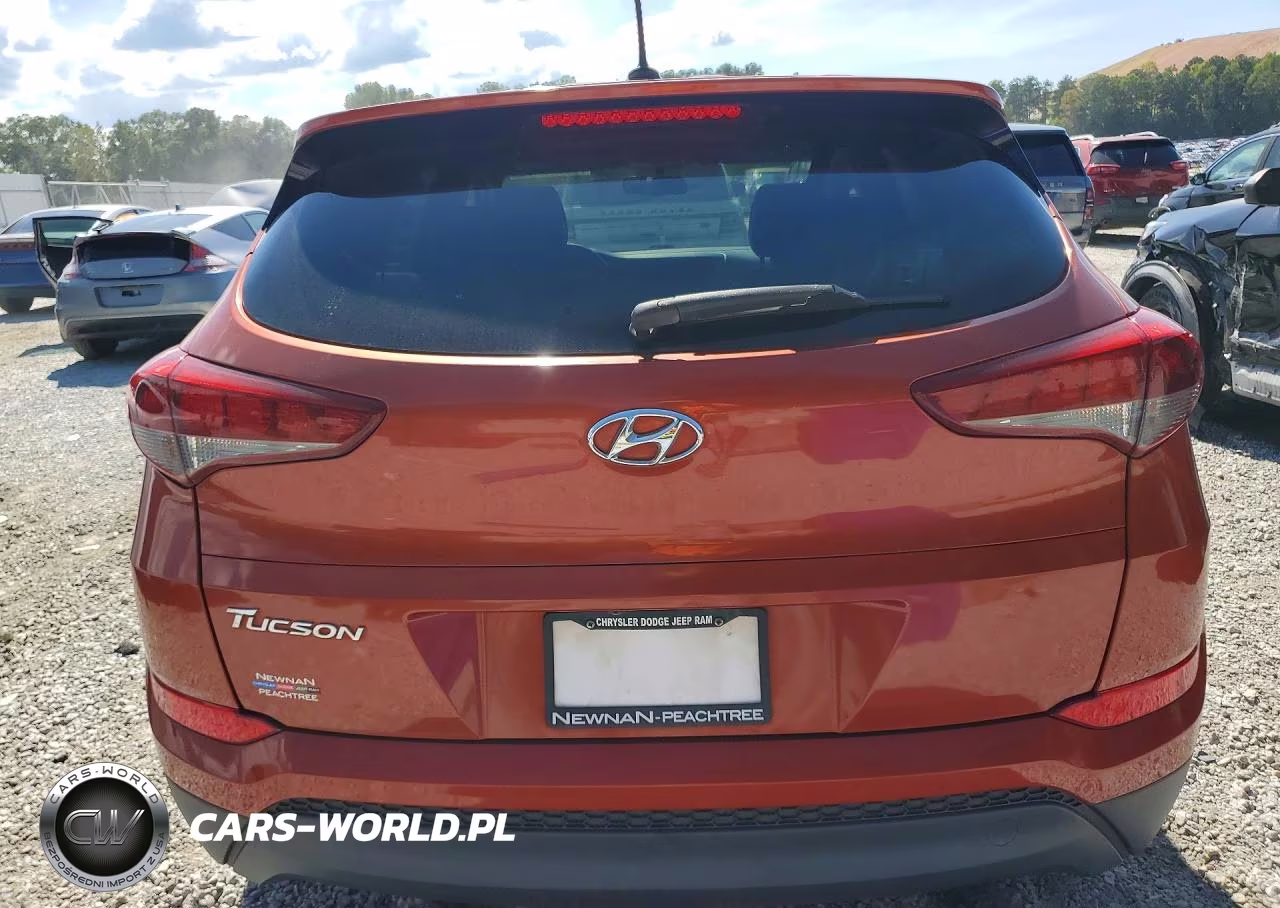 2017 Hyundai Tucson Se VIN:KM8J23A46HU254846 - 6