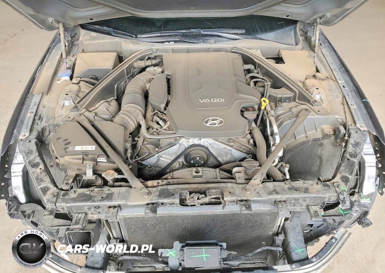 2015 Hyundai Genesis 3.8L VIN:KMHGN4JE8FU021046 - 11