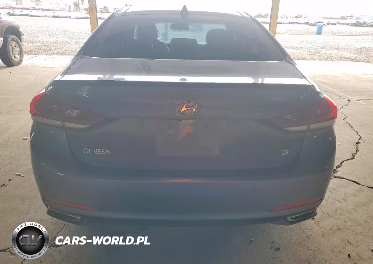 2015 Hyundai Genesis 3.8L VIN:KMHGN4JE8FU021046 - 6