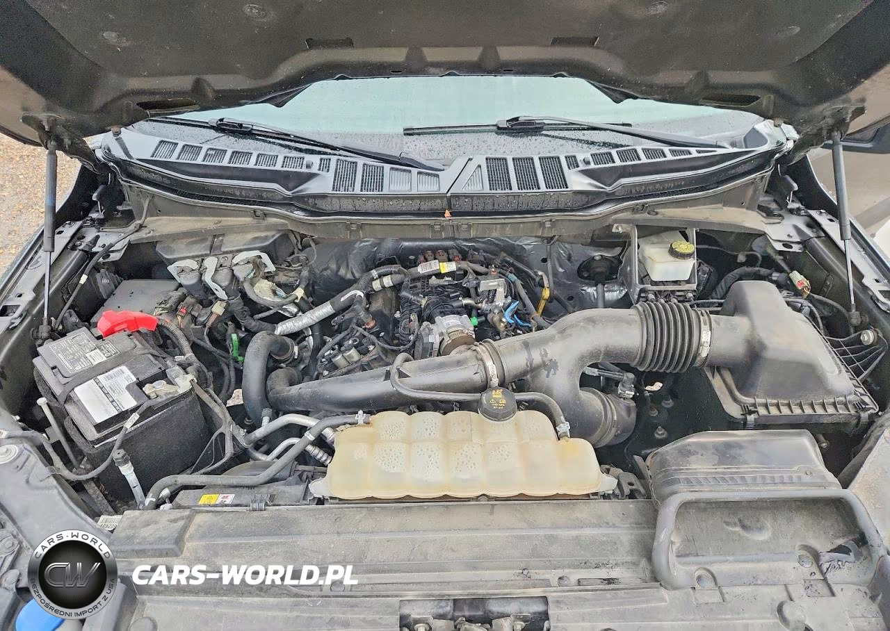 2023 Ford F150 Supercrew VIN:1FTEW1EP1PKD85468 - 11
