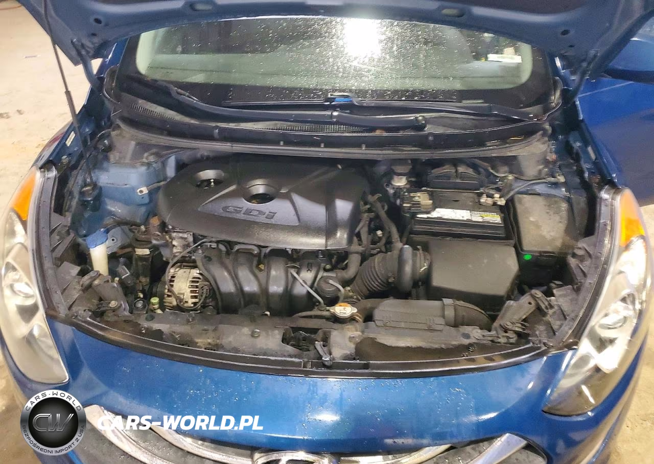 2014 Hyundai Elantra Gt Base VIN:KMHD35LH6EU233352 - 12