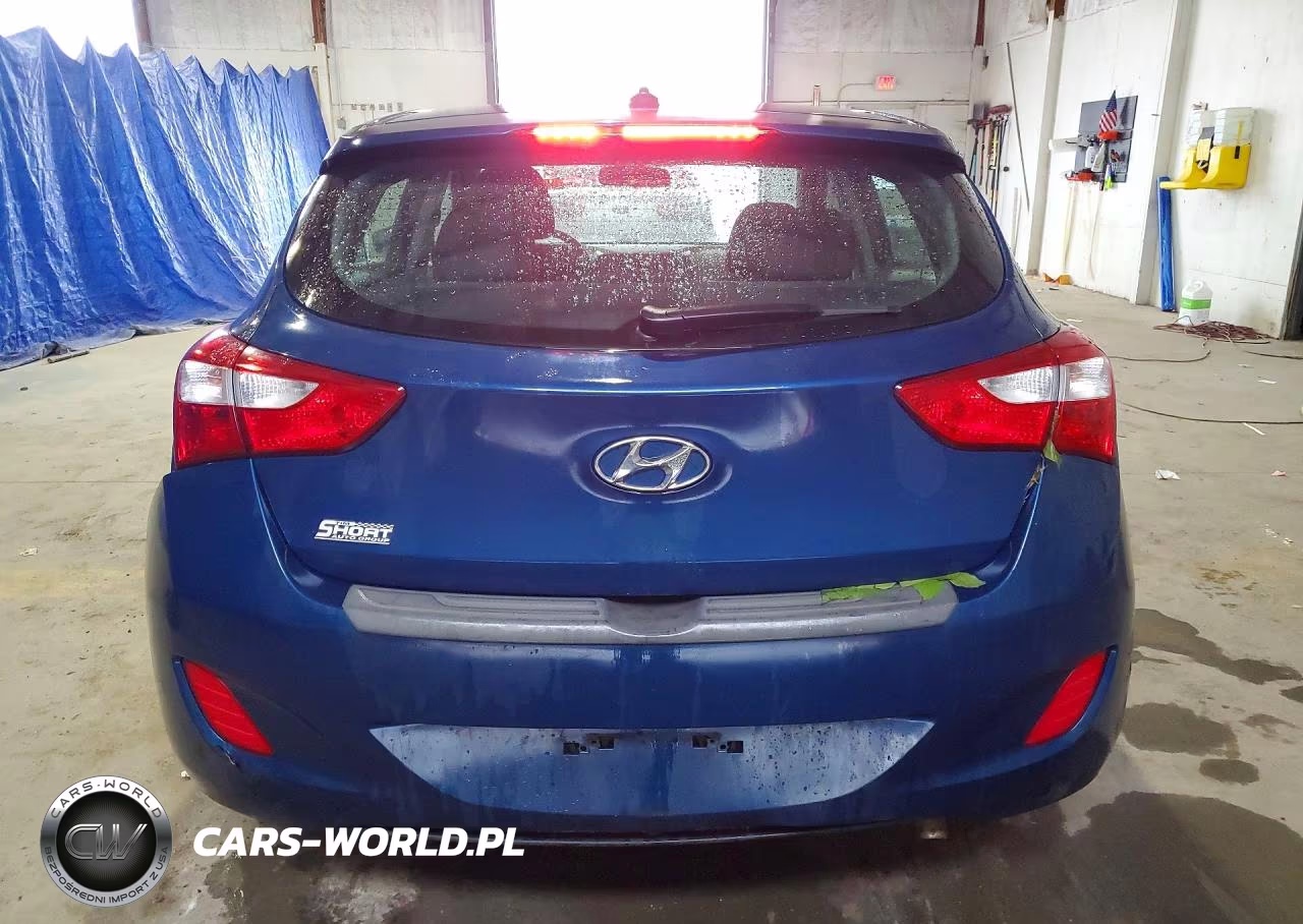 2014 Hyundai Elantra Gt Base VIN:KMHD35LH6EU233352 - 6