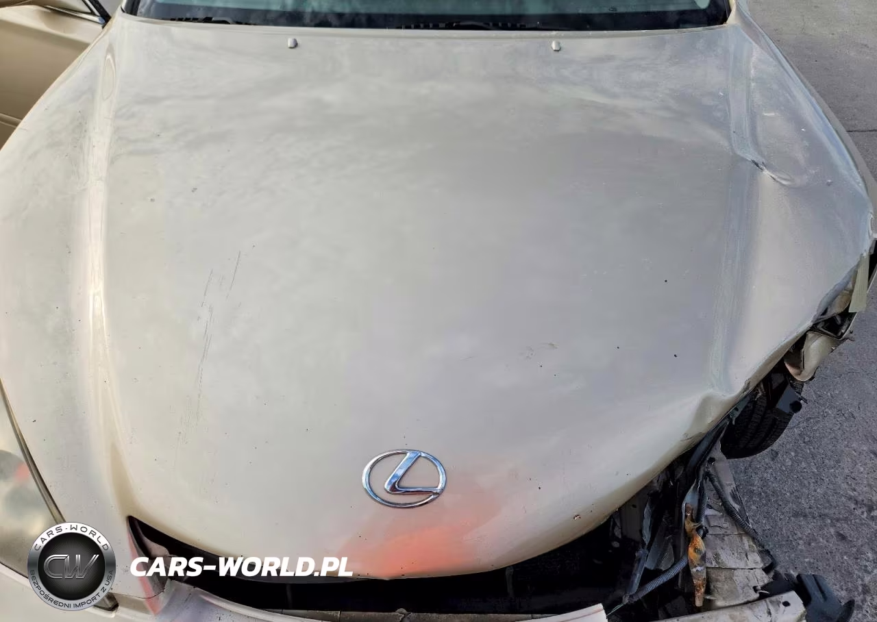2004 Lexus Es 330 VIN:JTHBA30G045033897 - 11