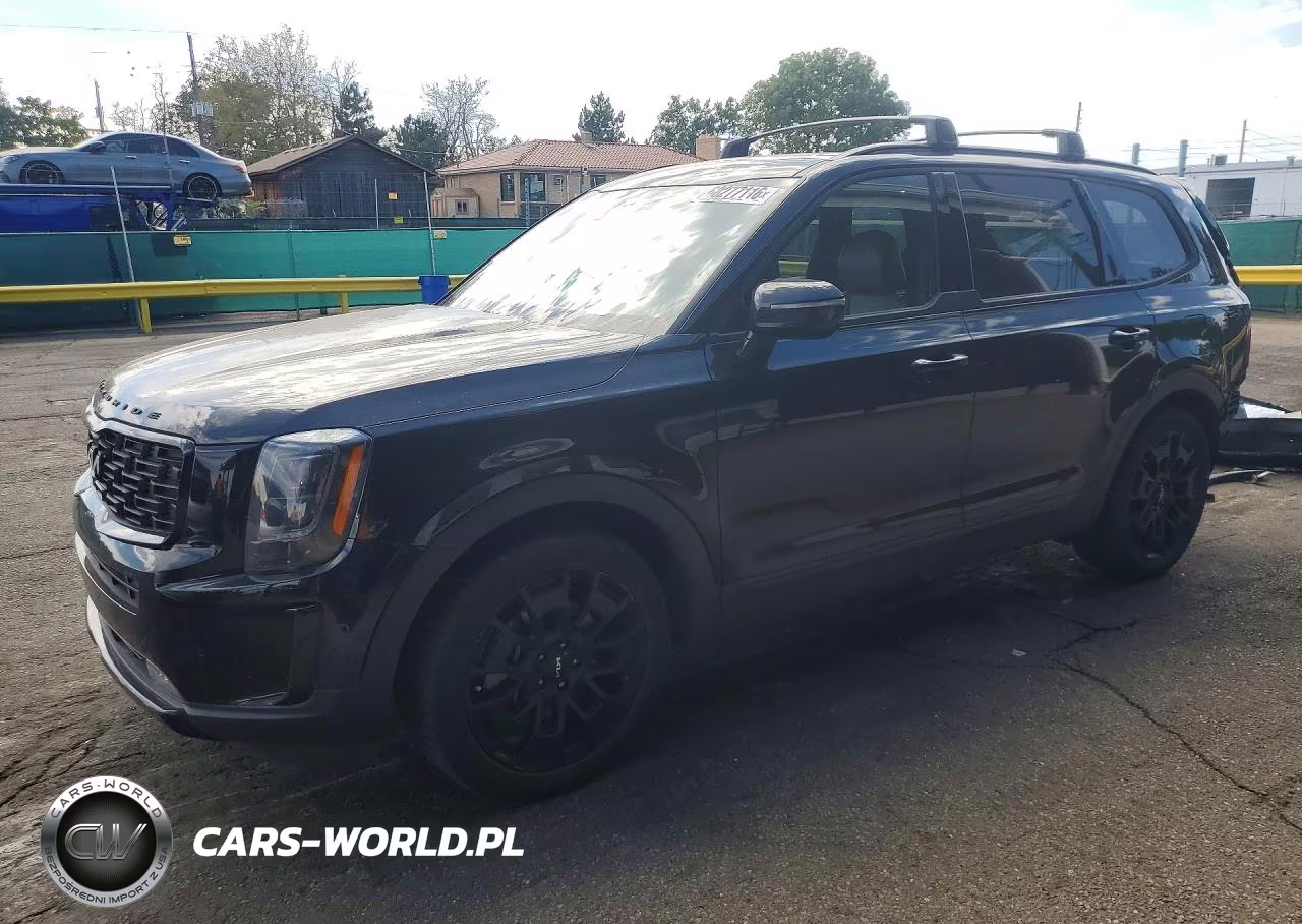 2022 Kia Telluride Sx VIN:5XYP5DHC8NG230893 - 1
