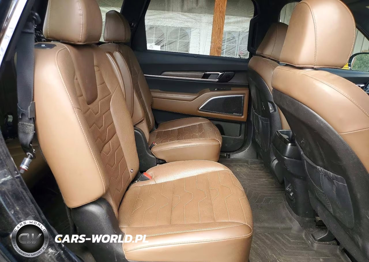 2022 Kia Telluride Sx VIN:5XYP5DHC8NG230893 - 11