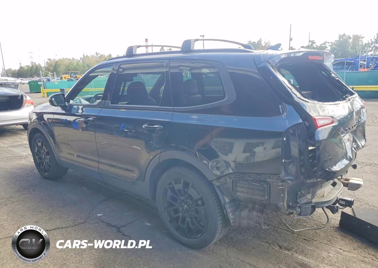 2022 Kia Telluride Sx VIN:5XYP5DHC8NG230893 - 2