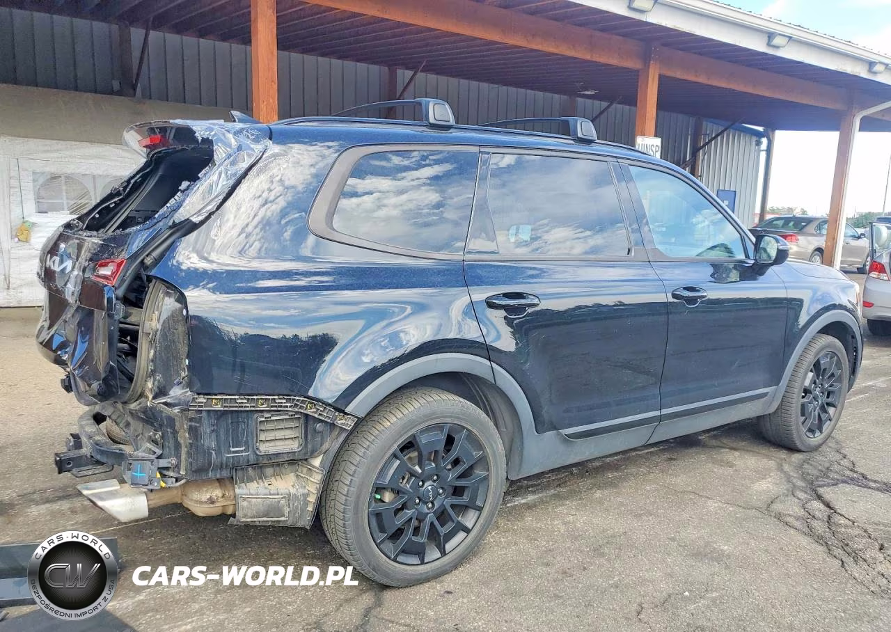 2022 Kia Telluride Sx VIN:5XYP5DHC8NG230893 - 3