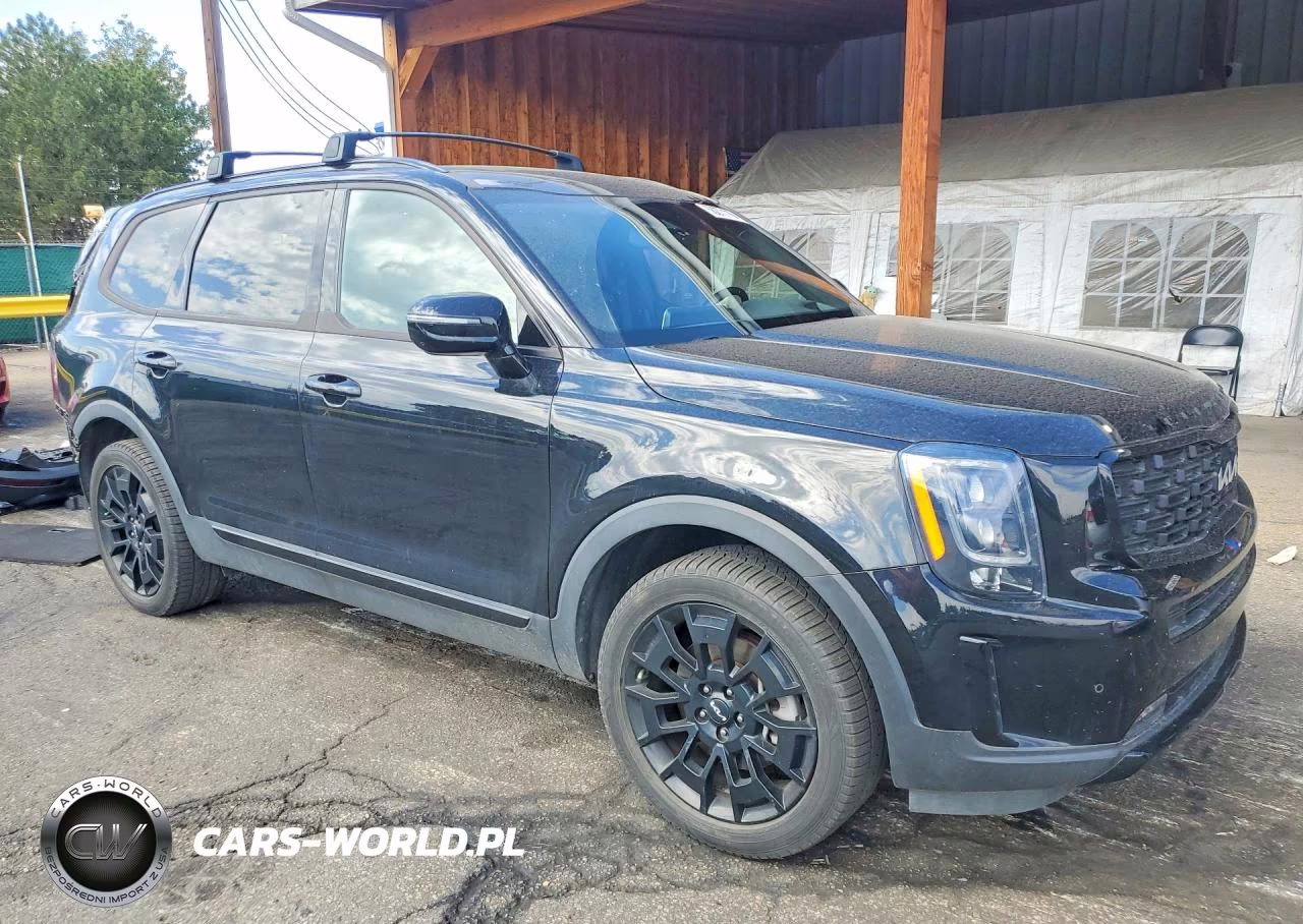 2022 Kia Telluride Sx VIN:5XYP5DHC8NG230893 - 4