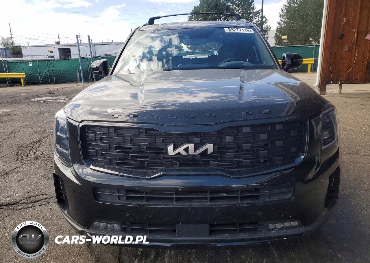 2022 Kia Telluride Sx VIN:5XYP5DHC8NG230893 - 5