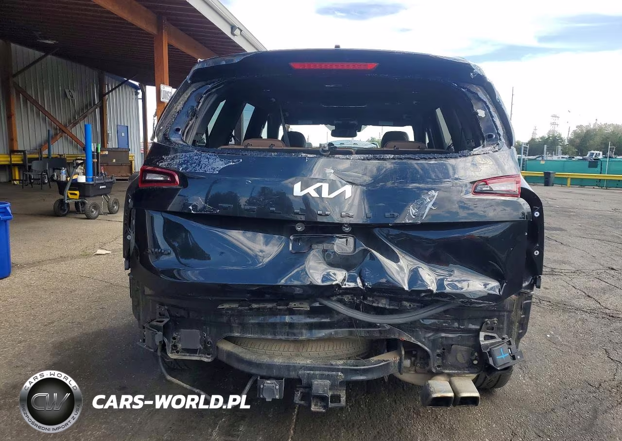 2022 Kia Telluride Sx VIN:5XYP5DHC8NG230893 - 6