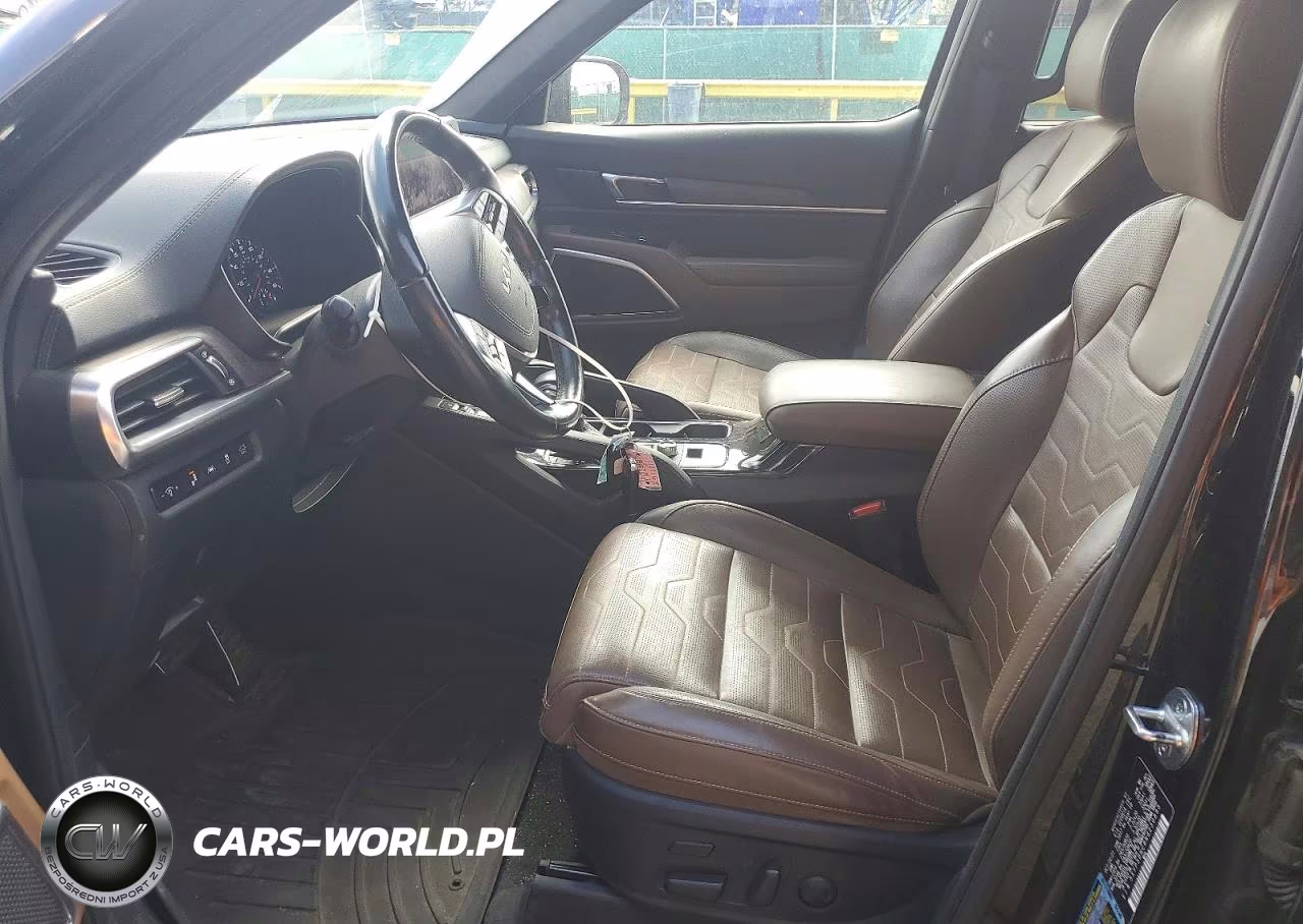 2022 Kia Telluride Sx VIN:5XYP5DHC8NG230893 - 7