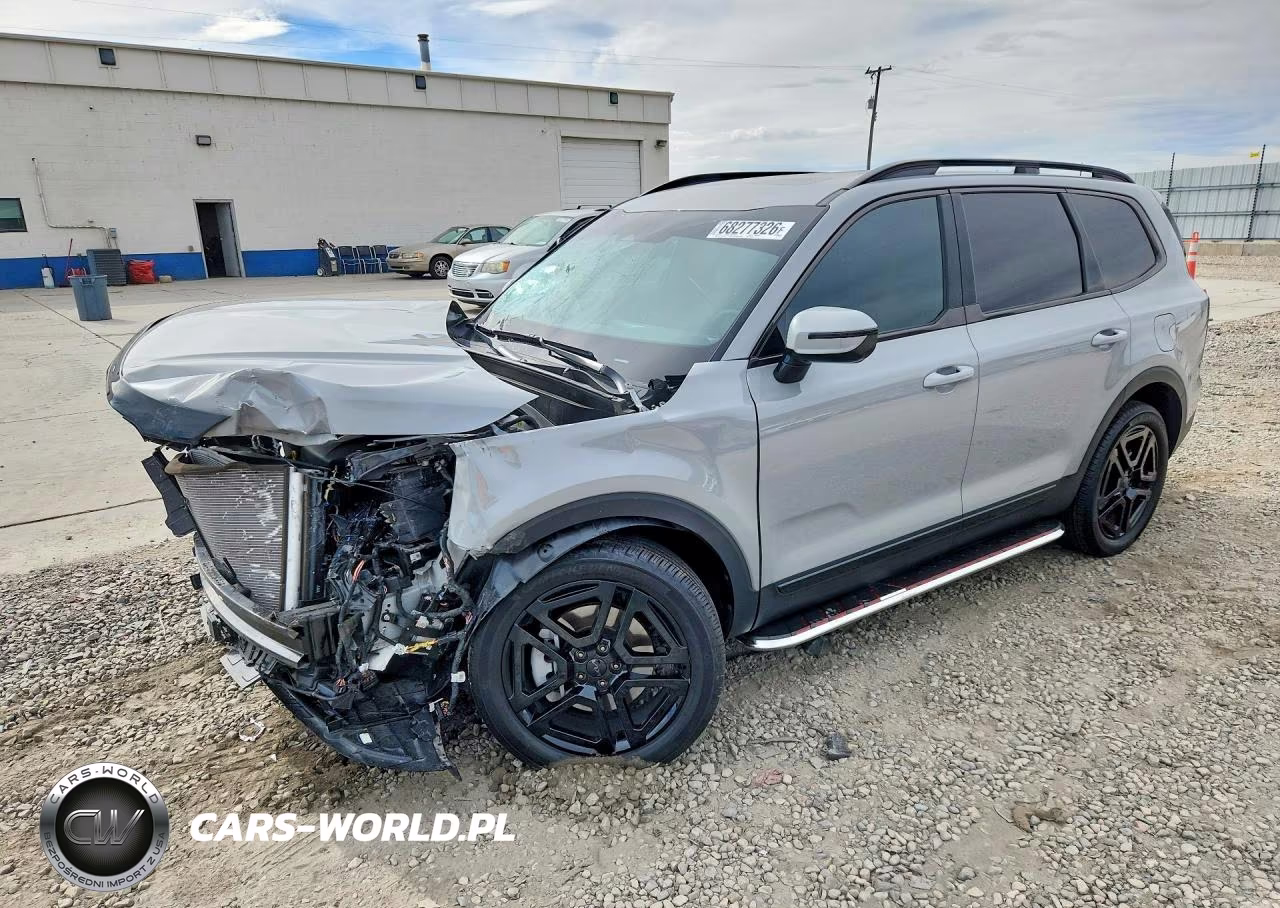 2025 Kia Telluride Sx X-Line VIN:5XYP5DGC1SG713915 - 1