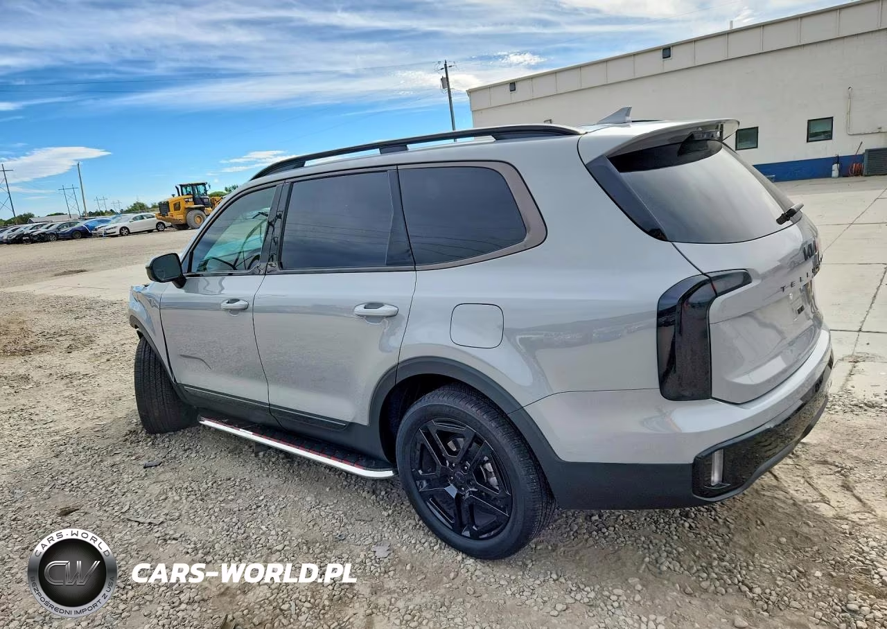 2025 Kia Telluride Sx X-Line VIN:5XYP5DGC1SG713915 - 2