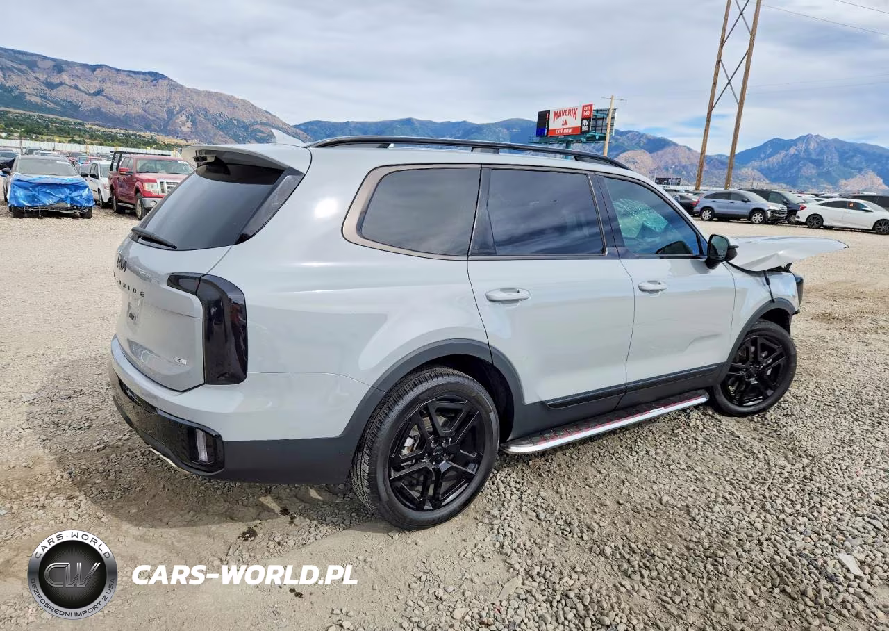2025 Kia Telluride Sx X-Line VIN:5XYP5DGC1SG713915 - 3
