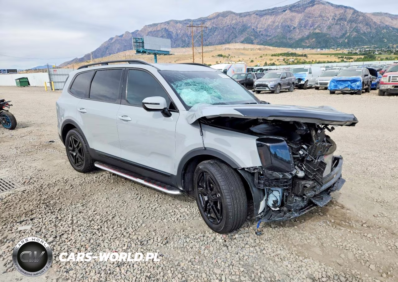 2025 Kia Telluride Sx X-Line VIN:5XYP5DGC1SG713915 - 4