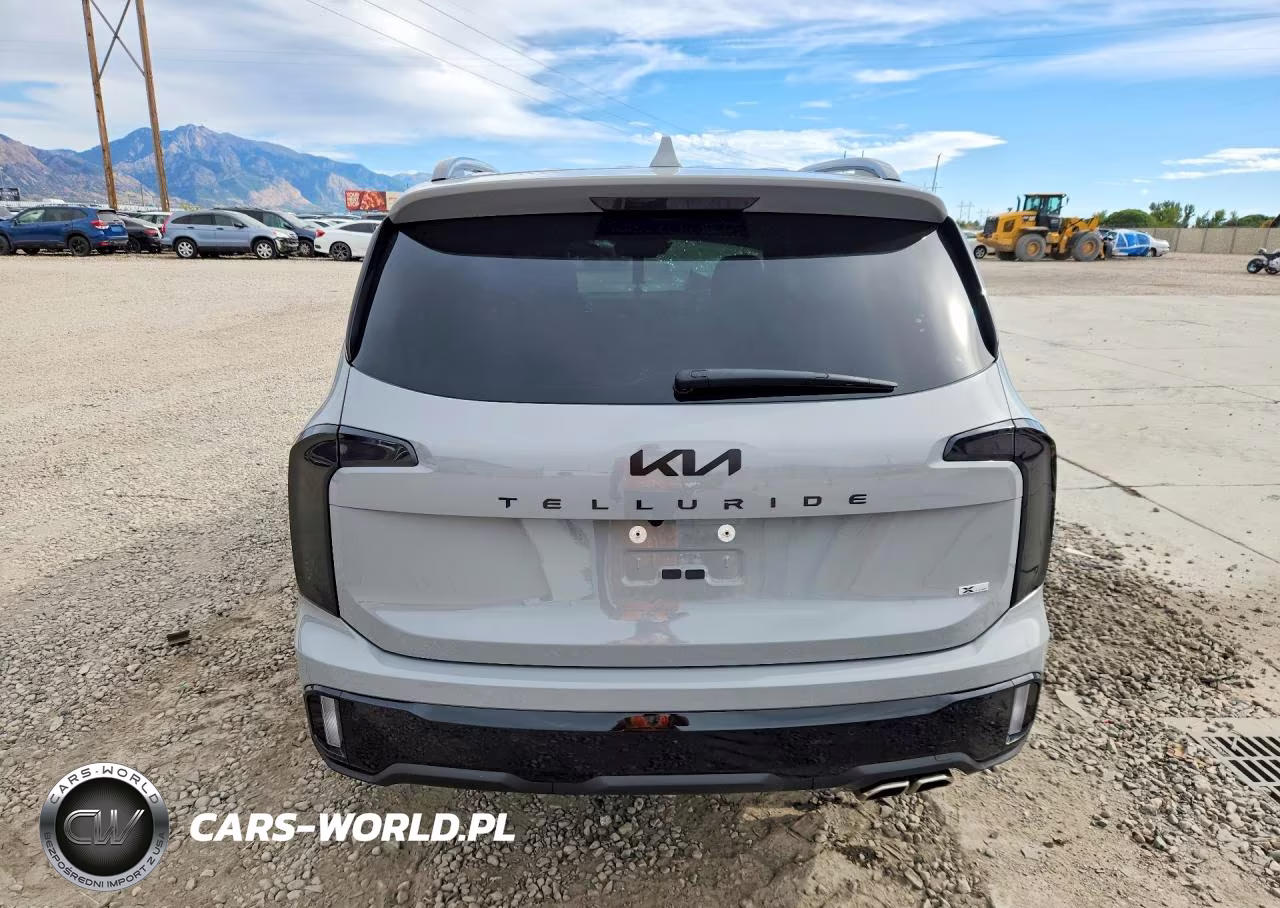 2025 Kia Telluride Sx X-Line VIN:5XYP5DGC1SG713915 - 6
