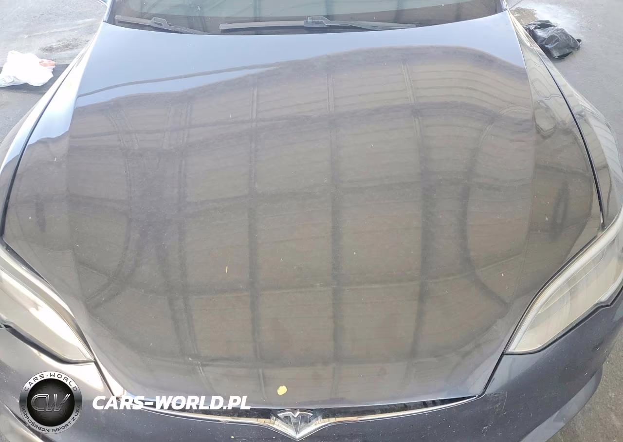 2017 Tesla Model S VIN:5YJSA1E17HF228118 - 11
