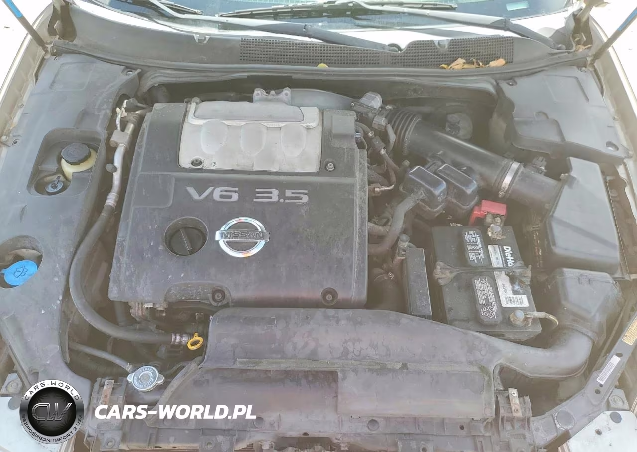 2006 Nissan Maxima 3.5 Se VIN:1N4BA41E86C845361 - 11