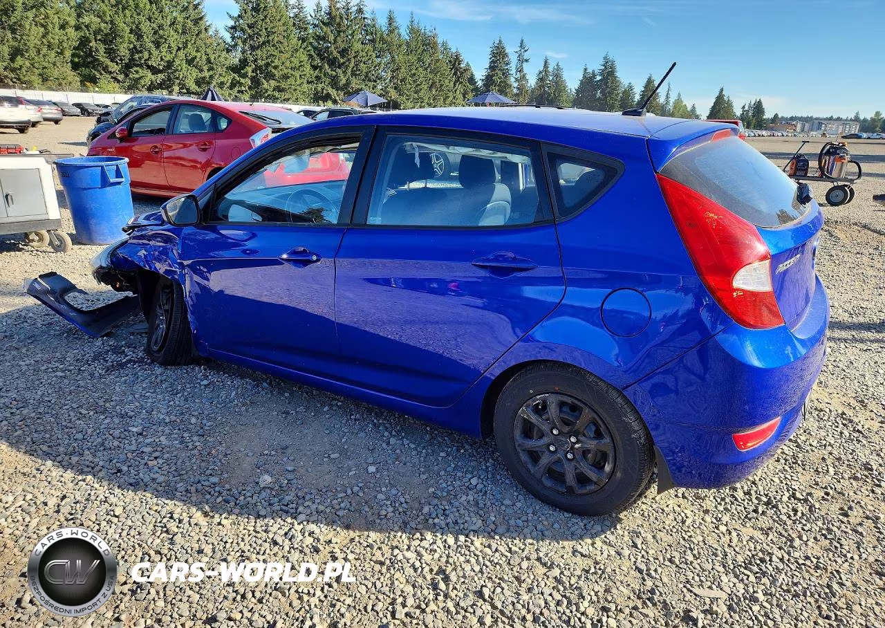2014 Hyundai Accent Gs VIN:KMHCT5AE9EU188668 - 2