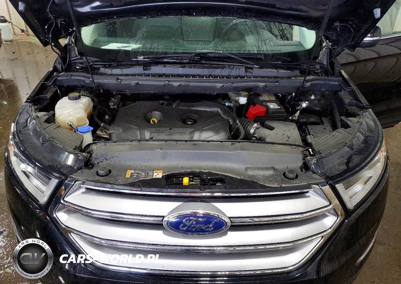2017 Ford Edge Sel VIN:2FMPK4J9XHBC64846 - 11