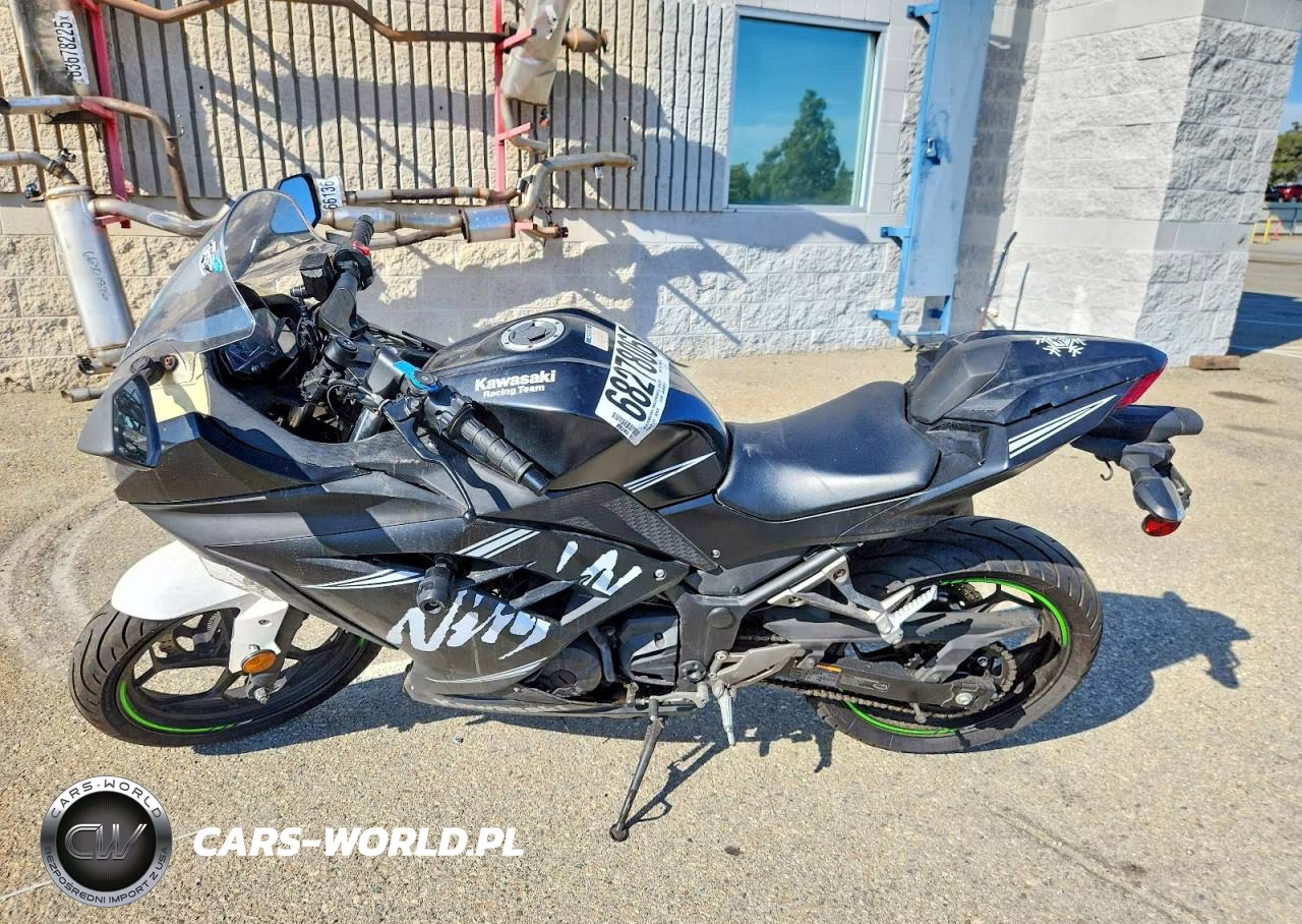 2017 Kawasaki Ex300 B VIN:JKAEX8B10HDA37024 - 3