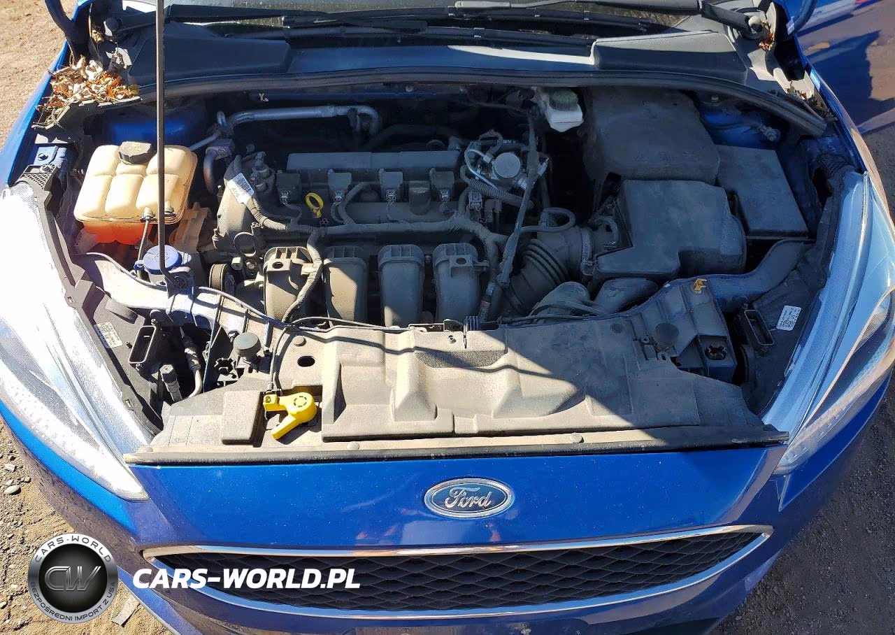 2018 Ford Focus Se VIN:1FADP3F21JL217120 - 11