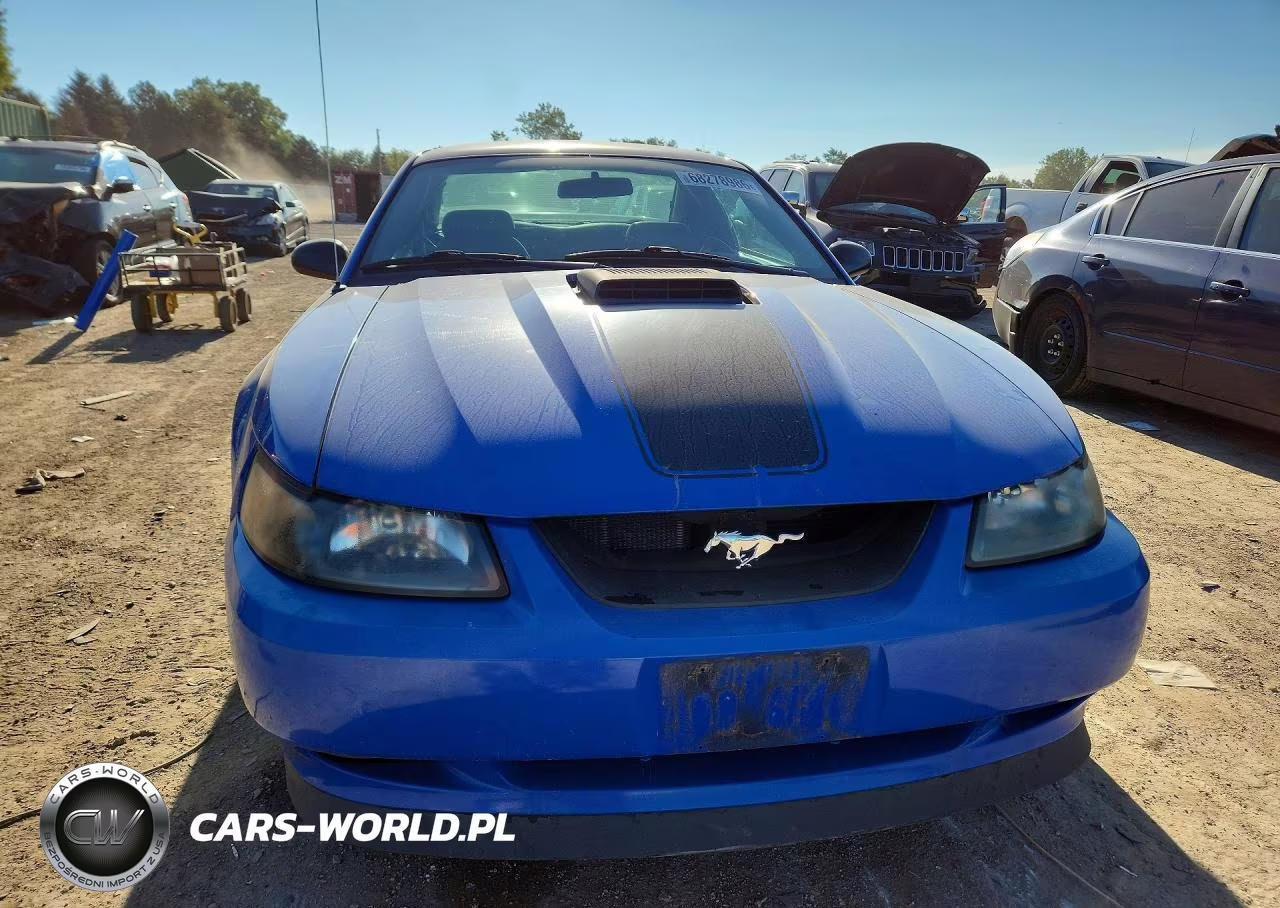 2004 Ford Mustang Mach I VIN:1FAFP42R94F174070 - 5