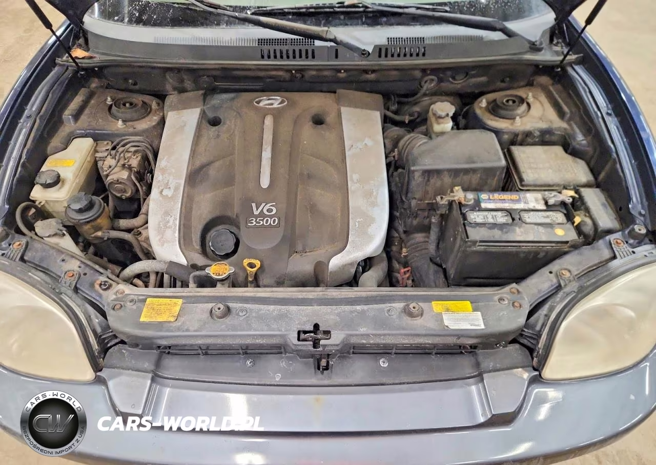 2005 Hyundai Santa Fe Gls VIN:KM8SC73E95U960607 - 24