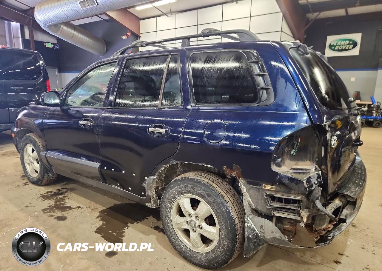2005 Hyundai Santa Fe Gls VIN:KM8SC73E95U960607 - 3
