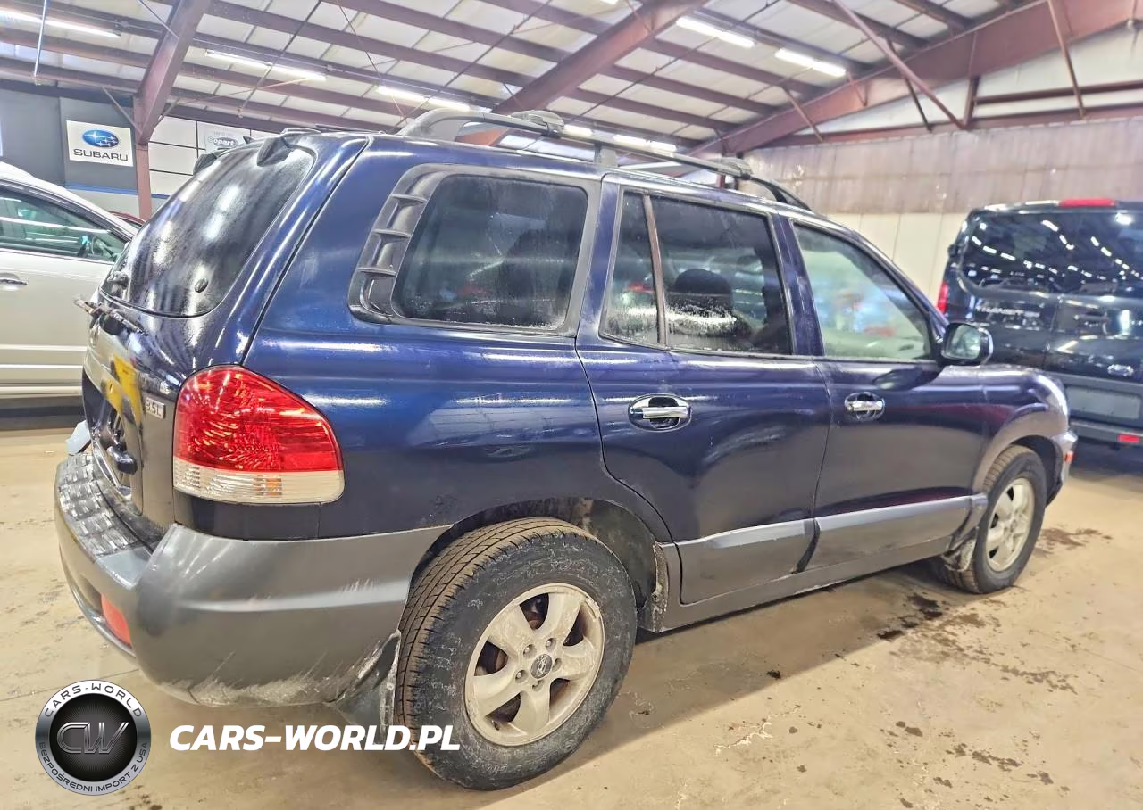 2005 Hyundai Santa Fe Gls VIN:KM8SC73E95U960607 - 6