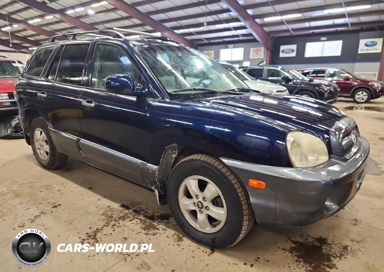 2005 Hyundai Santa Fe Gls VIN:KM8SC73E95U960607 - 7