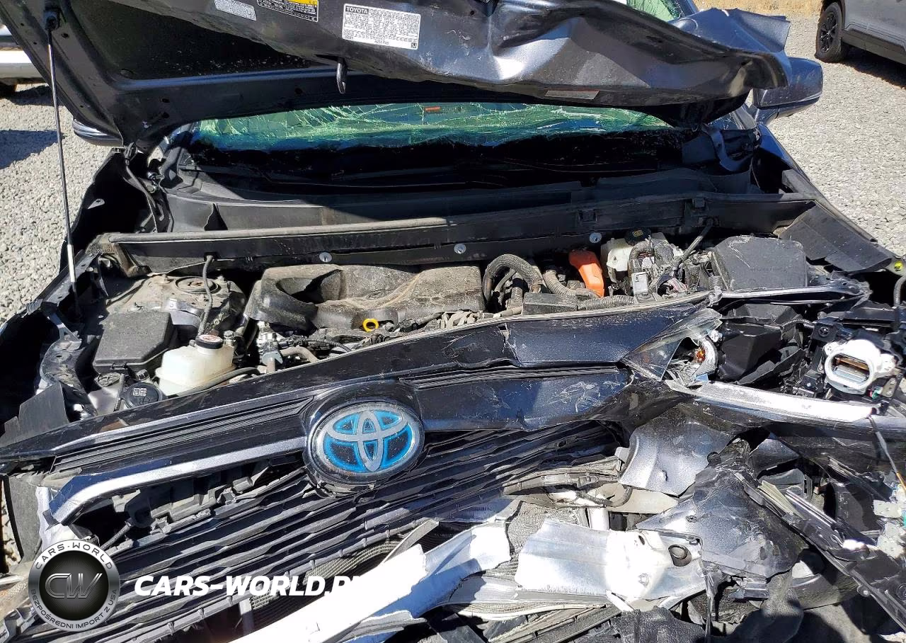 2019 Toyota Rav4 Limited VIN:JTMDWRFV0KD502686 - 12