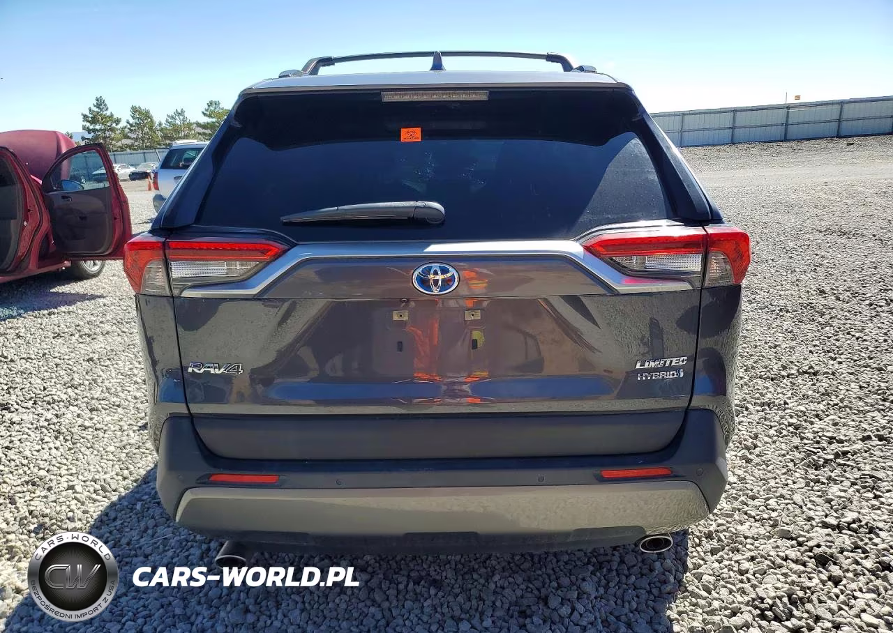 2019 Toyota Rav4 Limited VIN:JTMDWRFV0KD502686 - 6